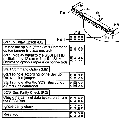 4234noo.gif (31959 bytes)